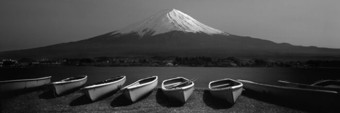 Boars on the lake at Mount Fuji