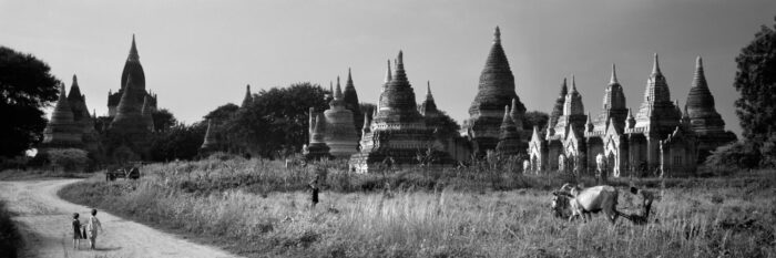 Farming amongst the temples in myanmar