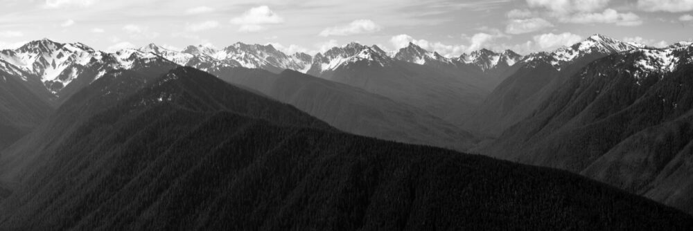 The olympic mountains