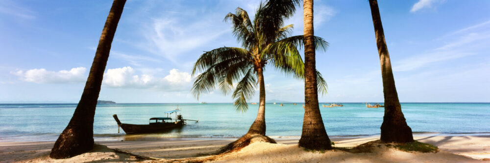 Stunning beach in the Phi Phi islands