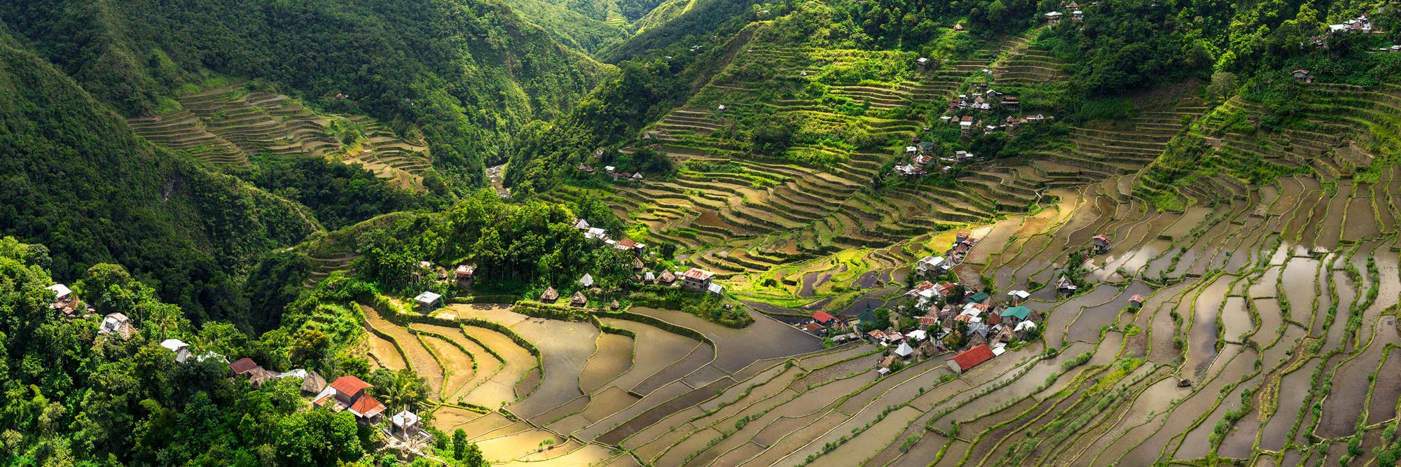 Philippines rice terrace