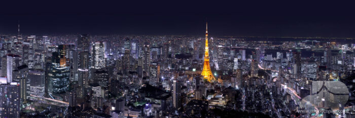 the tokyo tower and toy skyline at night