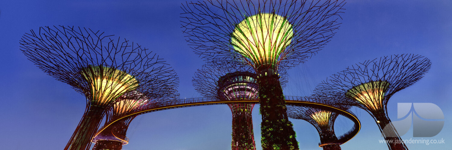 Supertree grove gardens by the bay