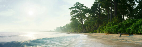 Andaman untouched Beach