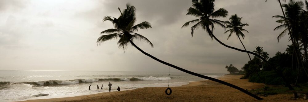 beach swing