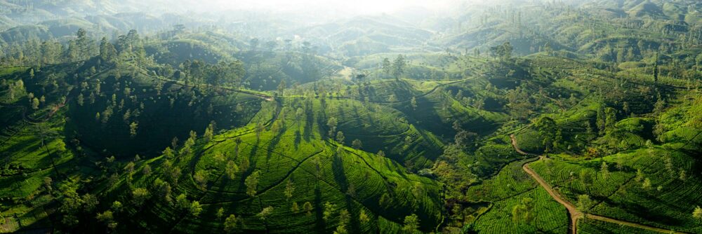 Sri Lanka Drone photography