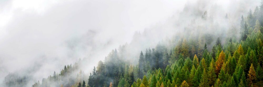 Fall in the alps