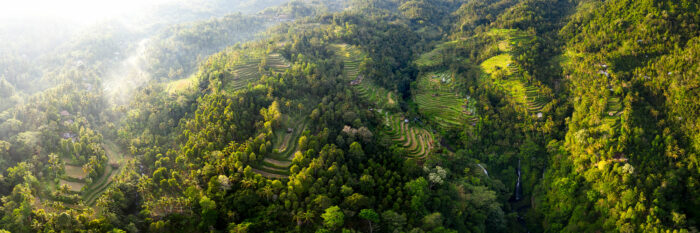 panorama of rice terraces from above