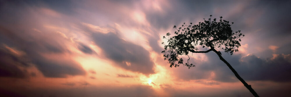 Fiery skies sunrise