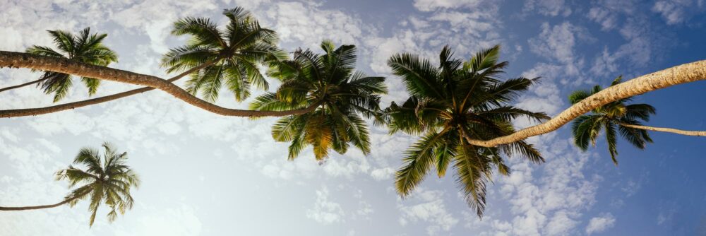 Beach scene