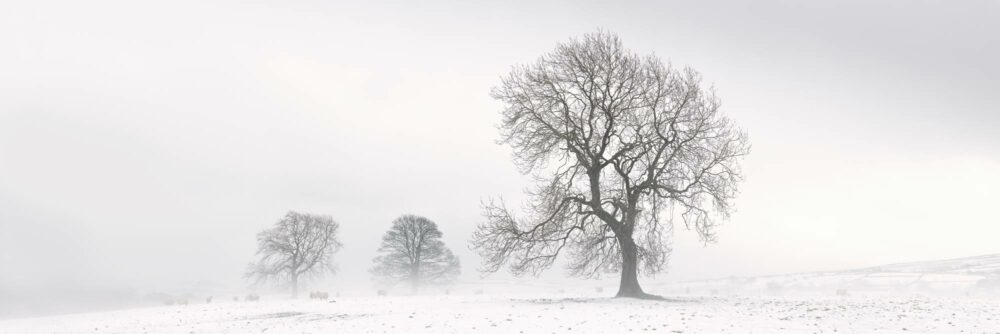 North Yorkshire snow print