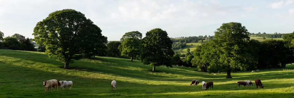 a panoramic print of beautiful nidderdale