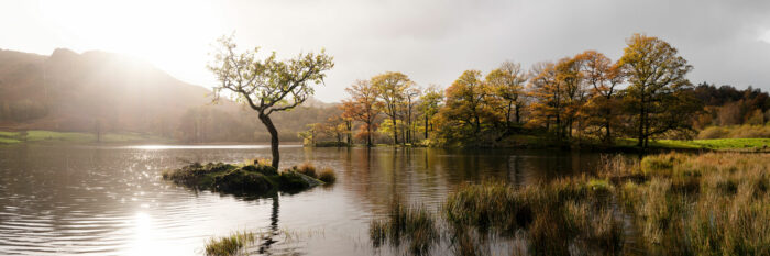 a panoramic print of Rydal water in the Lake District in autumn