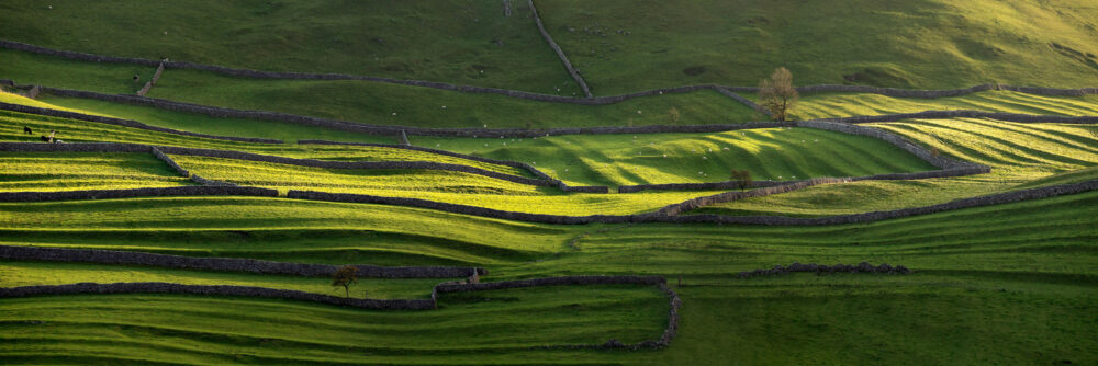 Rolling fields and hills