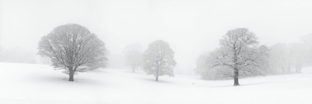 Yorkshire Dales in winter