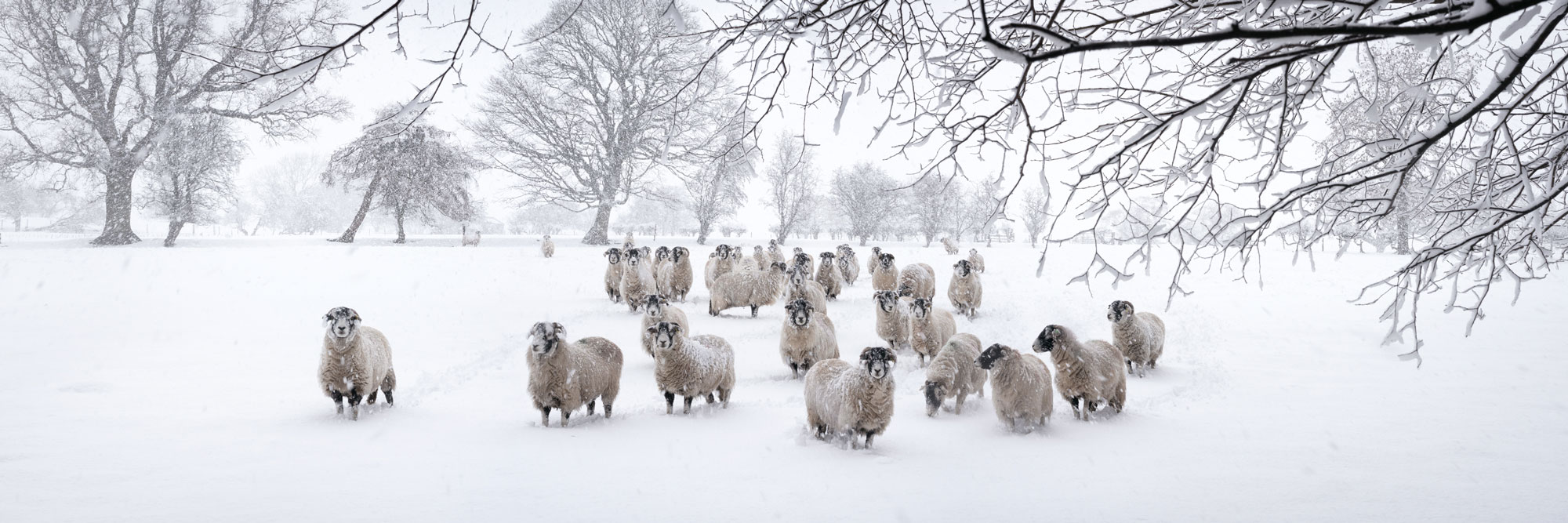 winter snow in the Yorkshire Dales