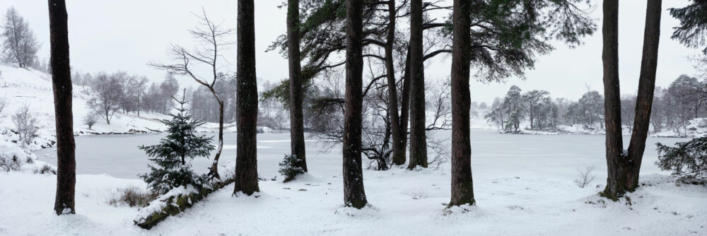 Tarn hows lake in winter