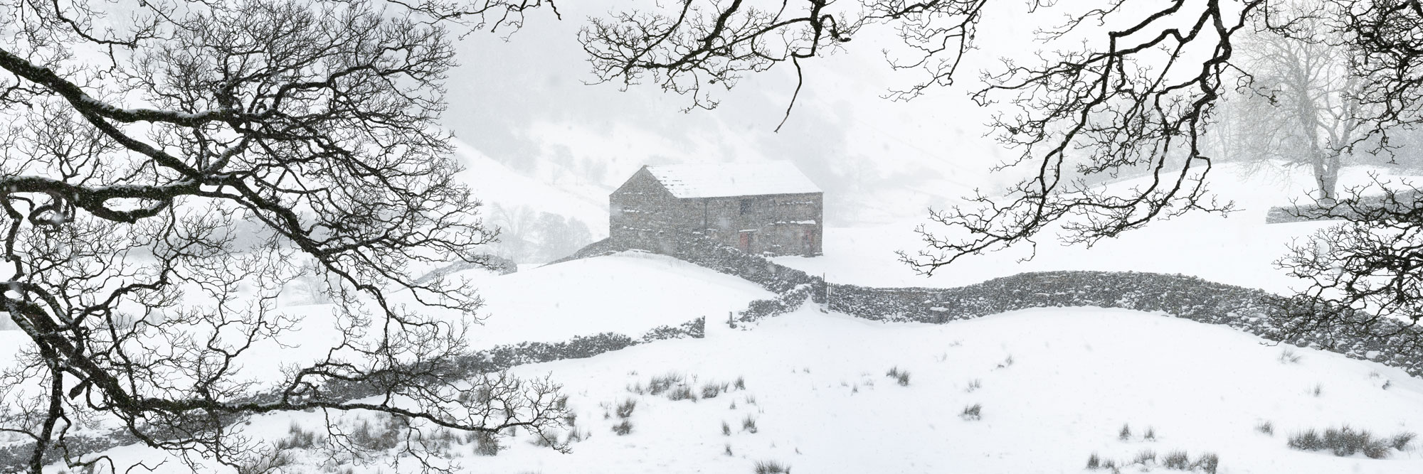 Keld and thwait fields in winter