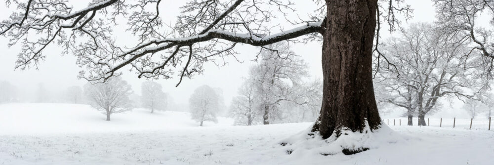 Yorkshire Dales field covered in snow in winter England