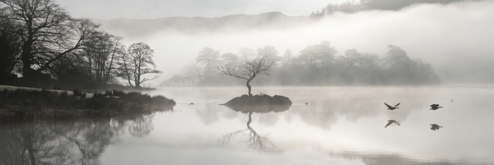 Lake District on a foggy day as birds fly past