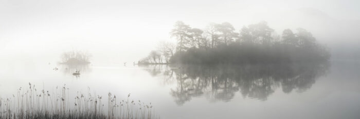 Lake in winter on a foggy day with birds