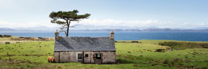 highland cow scratching an itch on a house on the scottish coast