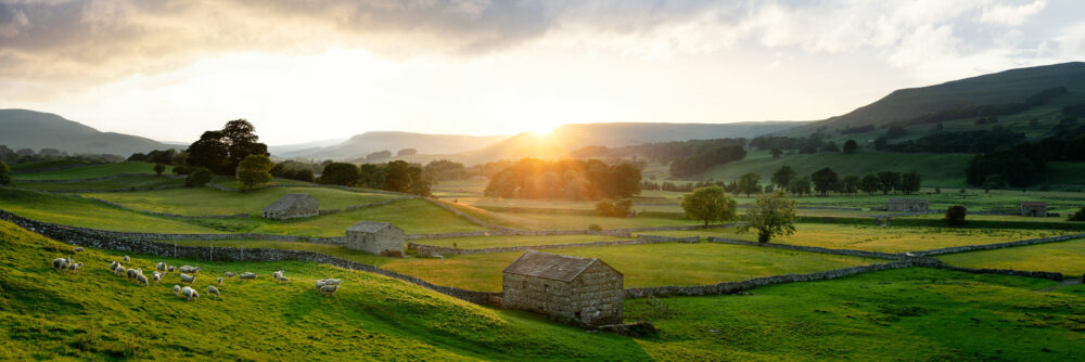 Yorkshire Dales summer framed print