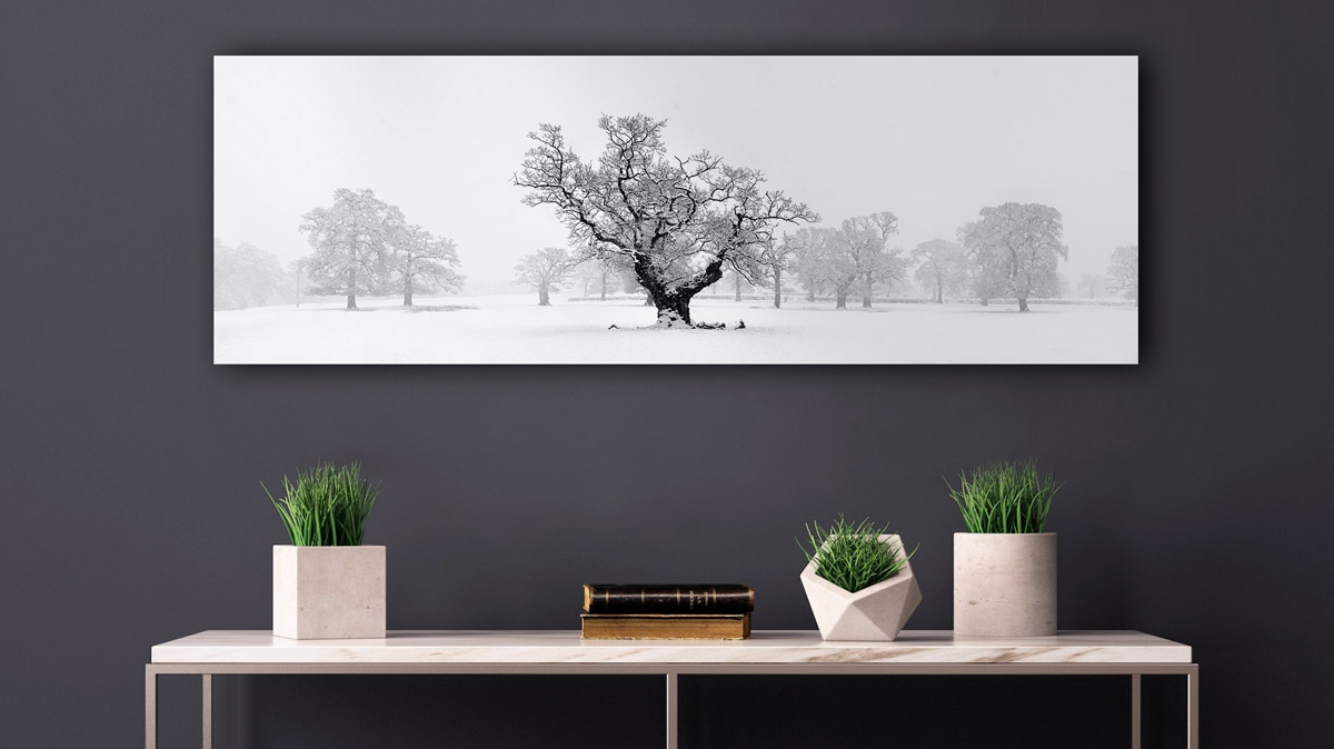 New Product – Perpetual Floating Prints | Jason Denning - Panoramic ...