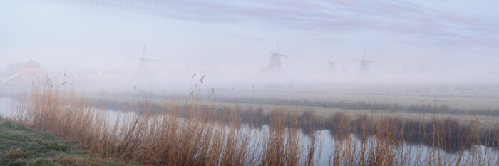 Panorama of the Zaanse Schans Windmills on a misty morning in The Netherlands