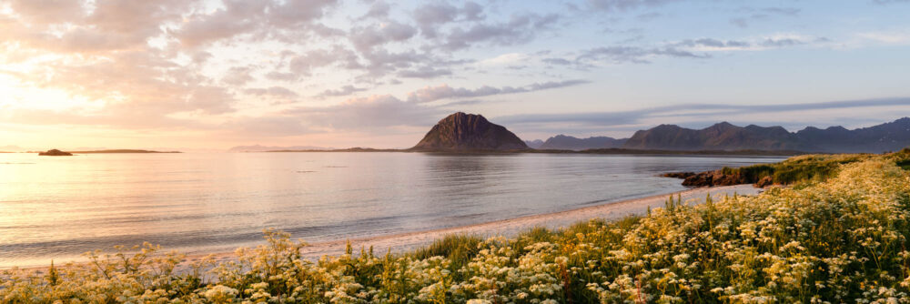 Panorama of the midnight sun on Gimsøya island in the Lofoten Islands