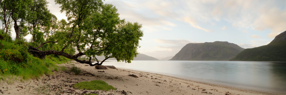 Panorama of Ytre Beach Storsandneset near Tromso in Norway