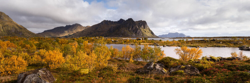 Panorama of Vestvagoya in Autumn in the Lofoten Islands