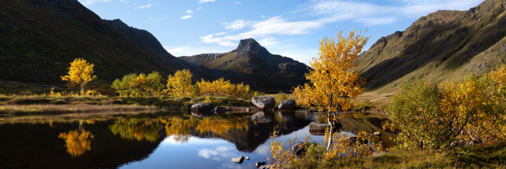 Autumn in the Lofoten Islands Panorama