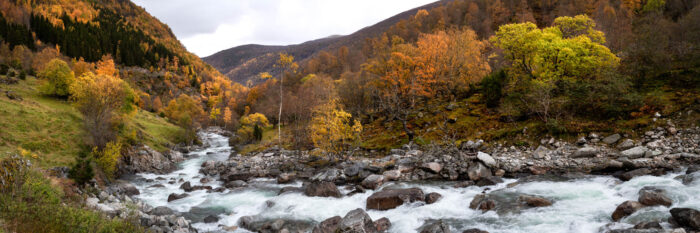Panorama of the Erdalselvi River in autumn on the aurlandsfjellet in Norway