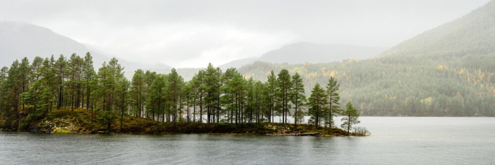 Panorama of Island Pine trees in Hornindalsvatn Lake in Norway