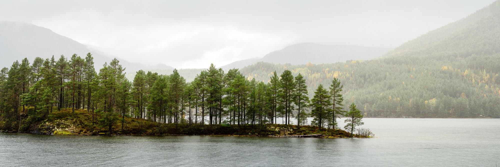 Panorama of Island Pine trees in Hornindalsvatn Lake in Norway