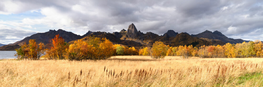 Panorama of Autumn in Vesterålen in Norway