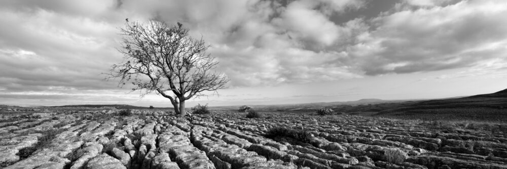 Black and white Panorama of the Limestone ripple pavements of Malham in the Yorkshire Dales