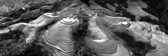 Aerial black and white panorama of Longji rice terraces in China