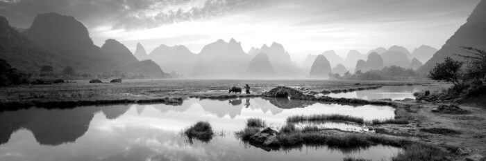 Black and white panoramic print of a farmer and water buffalo amongst the peaks of Guilin in China