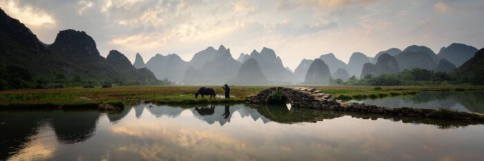 Panoramic print of a farmer and his water Buffalo amongst the Karst mountains of Guilin