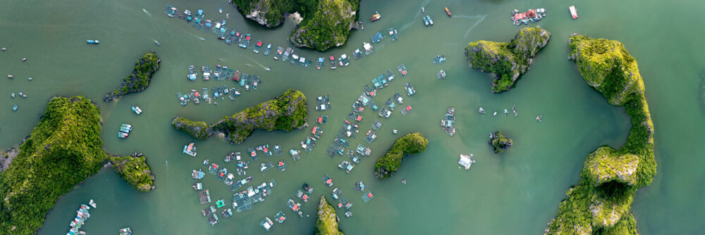 Panorama above a fishing village on Cat Ba Island in Ha Long Bay Vietnam