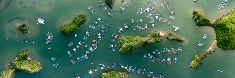 Panorama above a fishing village on Cat Ba Island in Ha Long Bay Vietnam