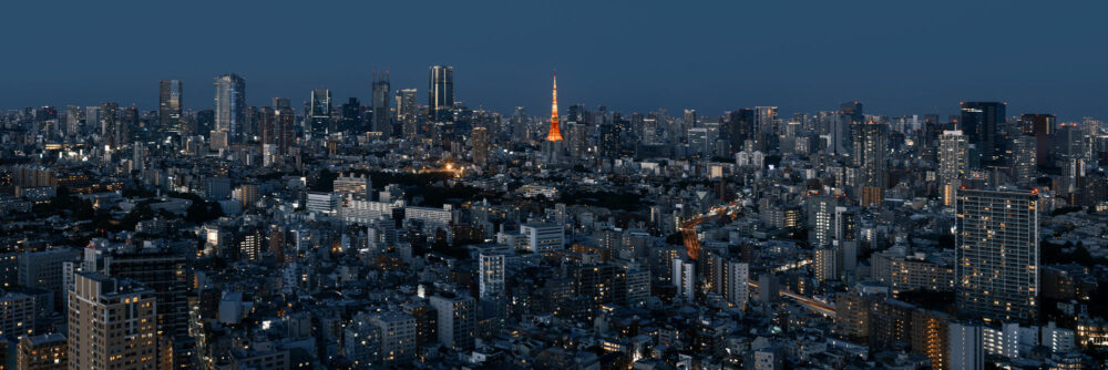 Panorama of the Tokyo skyline and Tokyo Tower are twilight