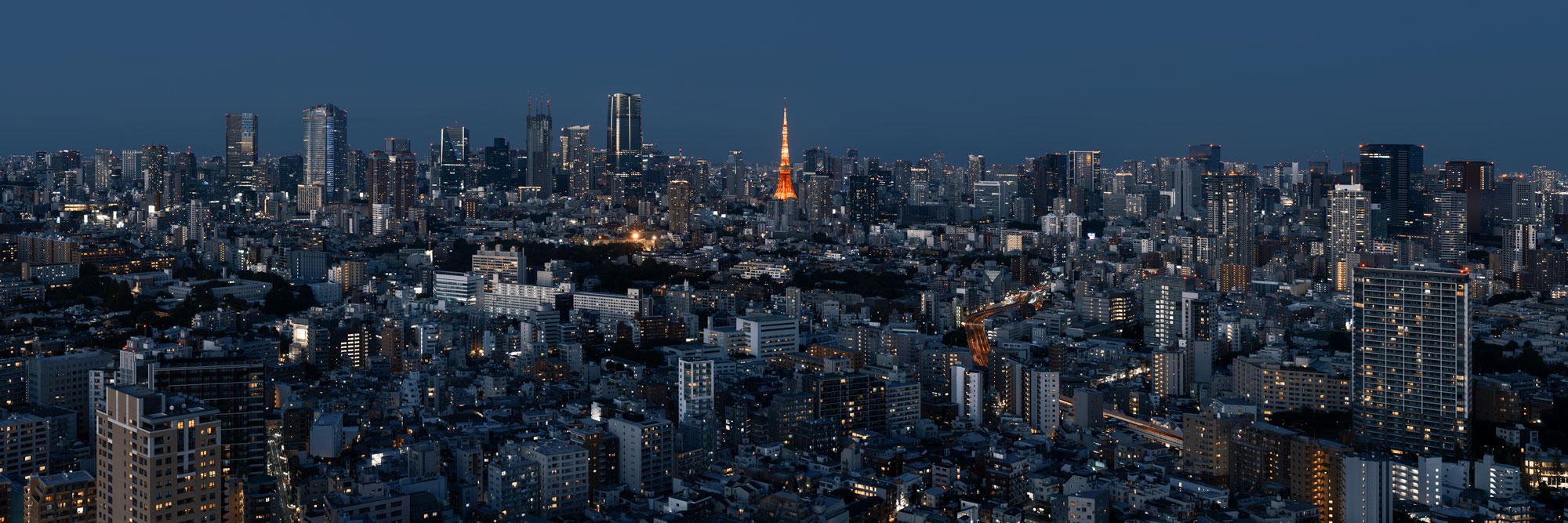 Panorama of the Tokyo skyline and Tokyo Tower are twilight