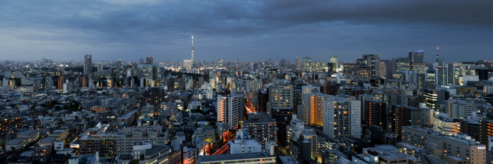 Panorama of the Tokyo City Skyline and Skytree at dusk in Japan